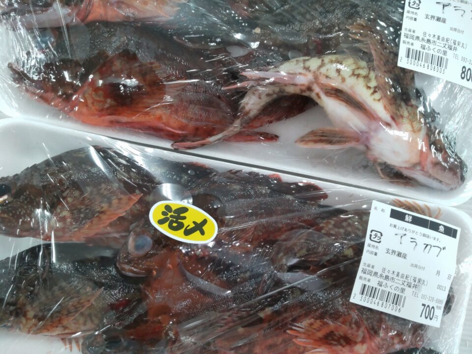 【福岡県糸島市】福ふくの里：二丈福吉の直売所・産直所