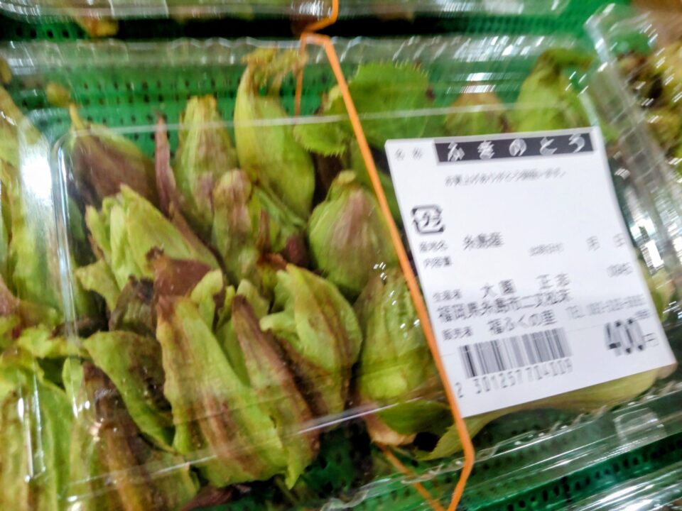 【福岡県糸島市】福ふくの里：二丈福吉の直売所・産直所