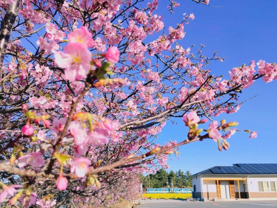 【福岡県糸島市】福ふくの里：二丈福吉の直売所・産直所