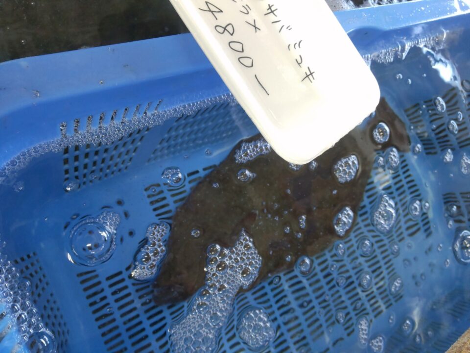 【福岡県糸島市】福ふくの里：二丈福吉の直売所・産直所