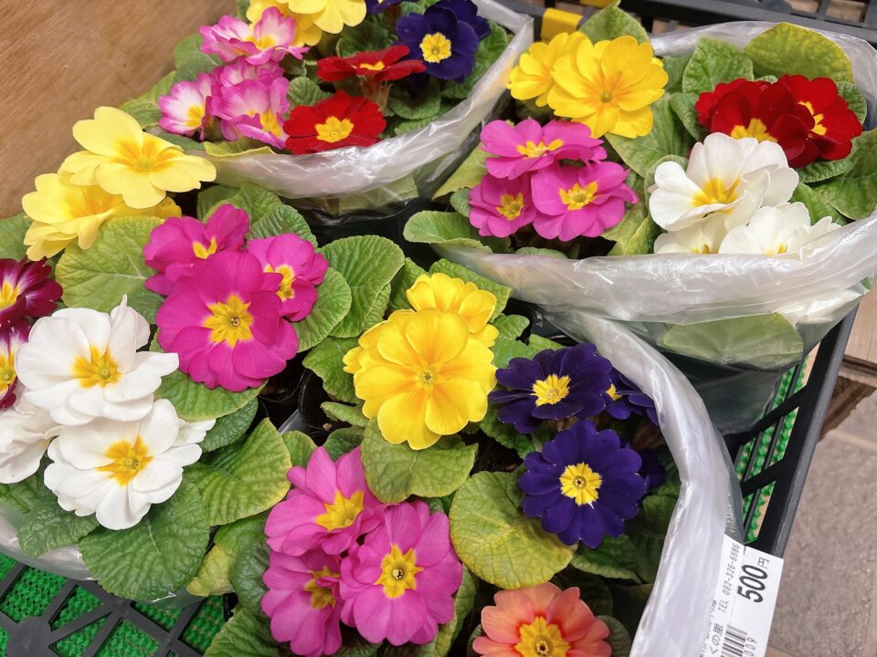 【福岡県糸島市】福ふくの里：二丈福吉の直売所・産直所