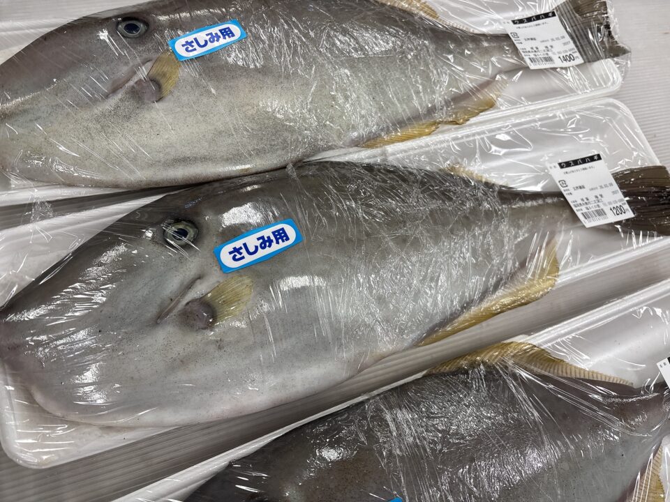 【福岡県糸島市】福ふくの里：二丈福吉の直売所・産直所