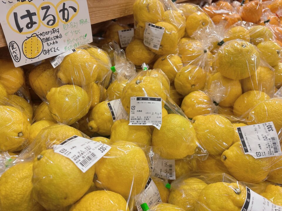 【福岡県糸島市】福ふくの里：二丈福吉の直売所・産直所