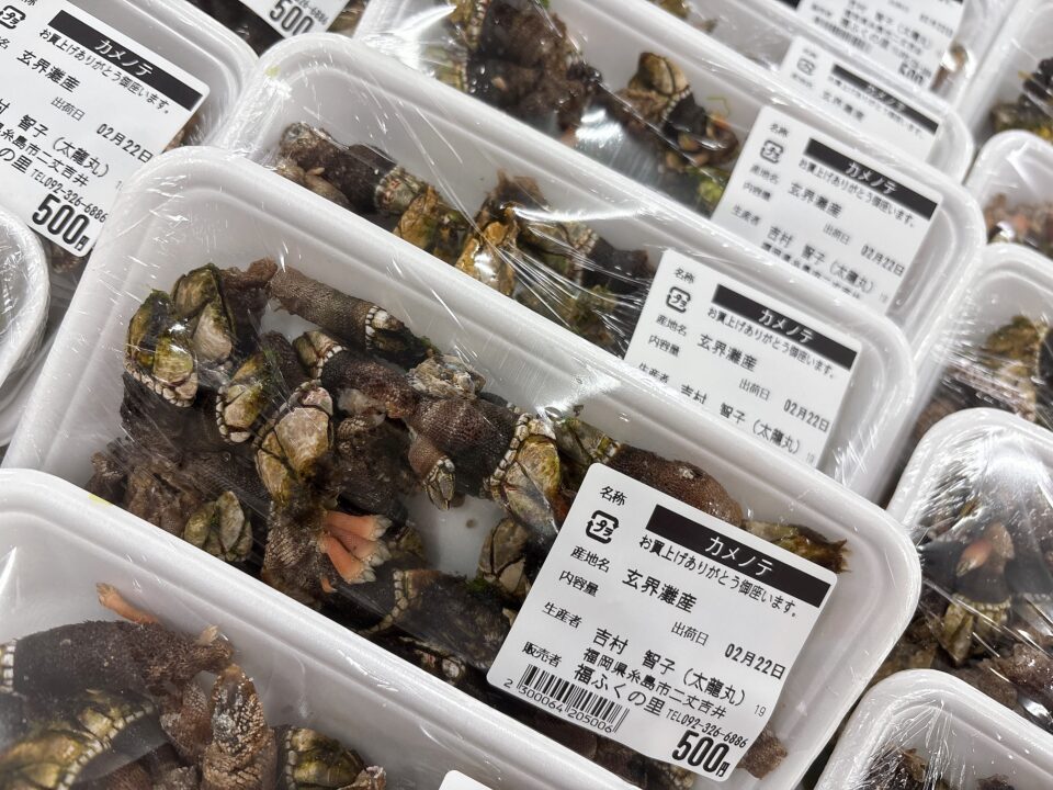 【福岡県糸島市】福ふくの里：二丈福吉の直売所・産直所