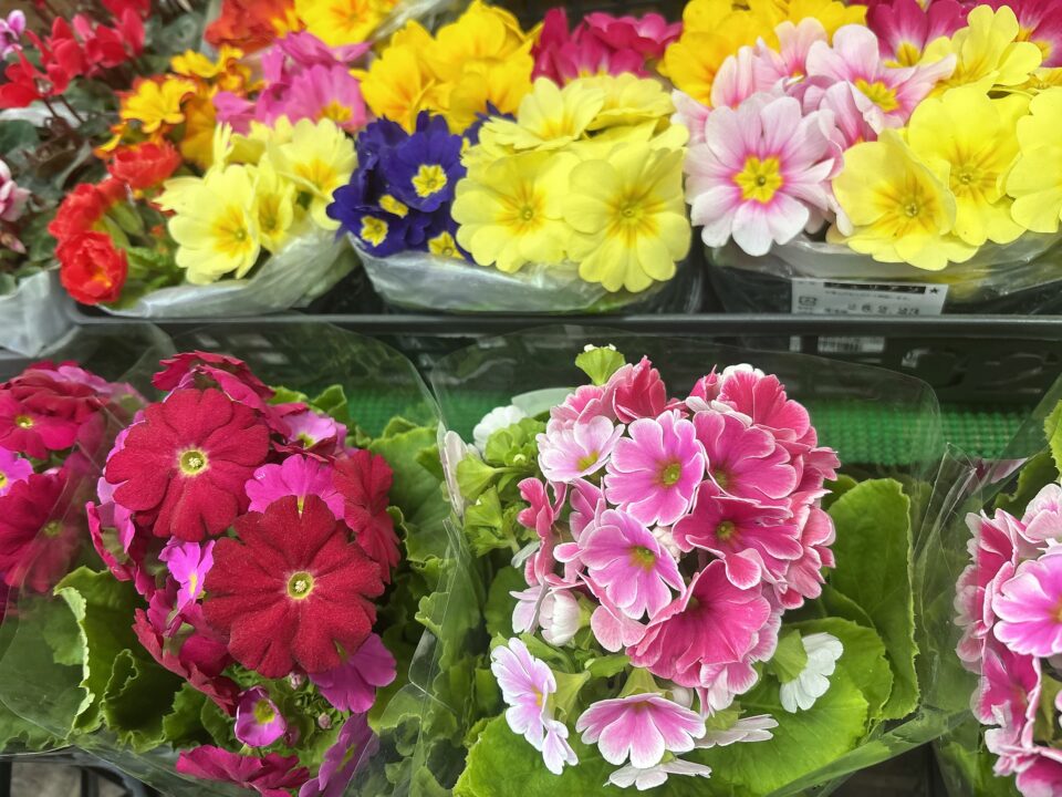 【福岡県糸島市】福ふくの里：二丈福吉の直売所・産直所