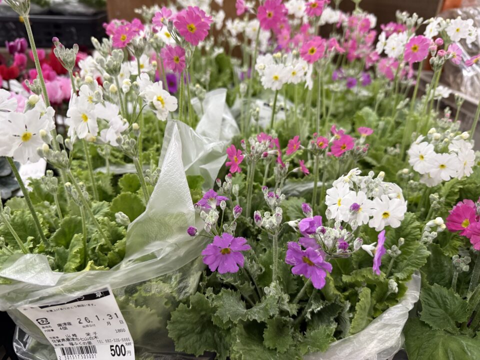 【福岡県糸島市】福ふくの里：二丈福吉の直売所・産直所