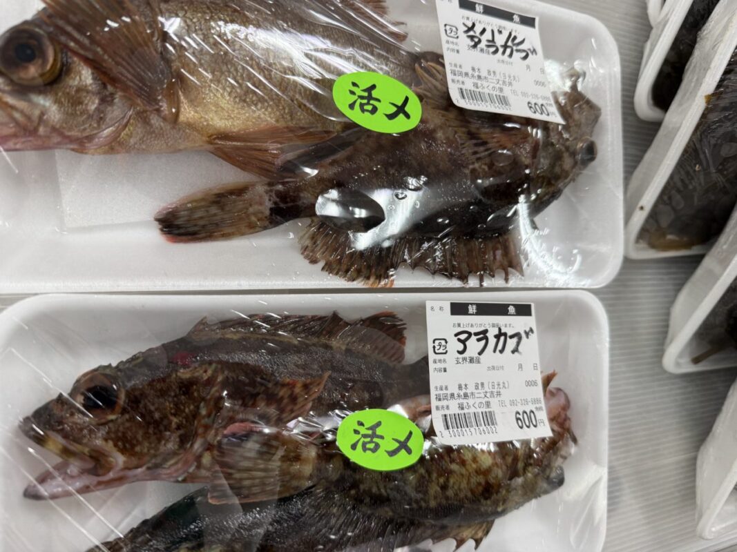 【福岡県糸島市】福ふくの里：二丈福吉の直売所・産直所
