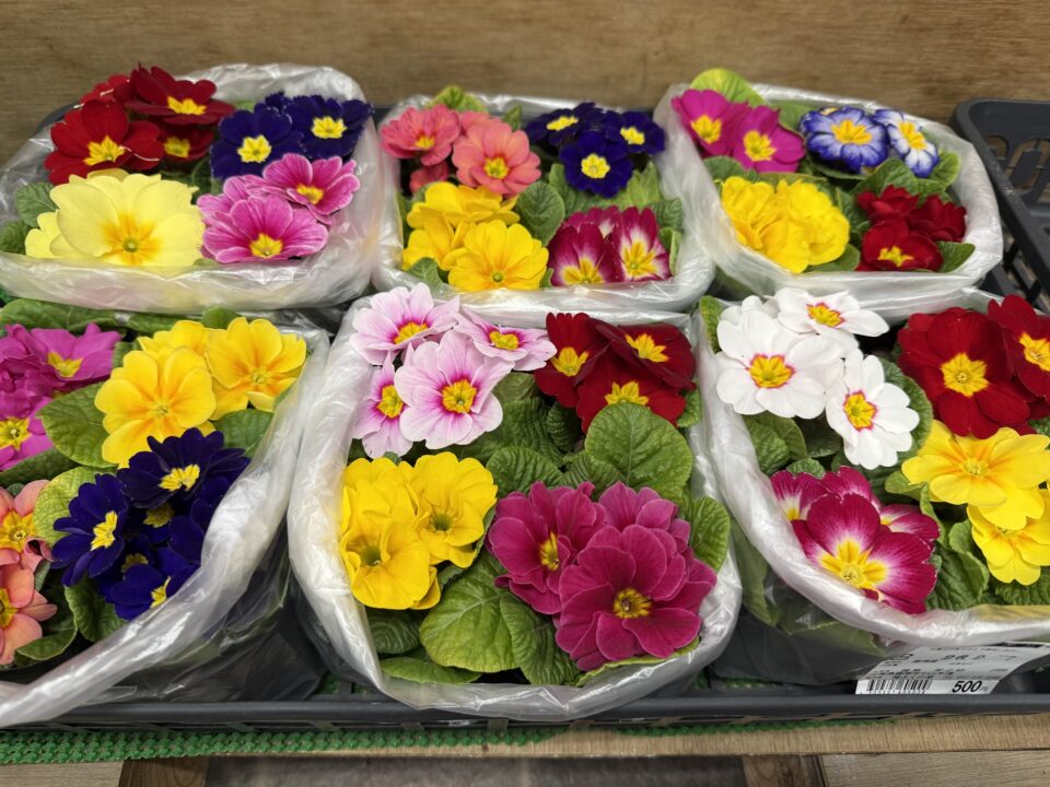 【福岡県糸島市】福ふくの里：二丈福吉の直売所・産直所