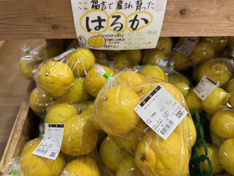 【福岡県糸島市】福ふくの里：二丈福吉の直売所・産直所