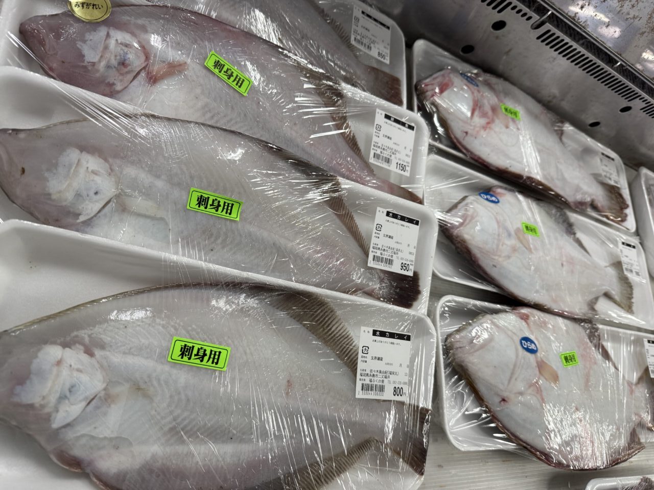 2月20日（金）採れたて！ | 【福岡県糸島市】福ふくの里：二丈福吉の