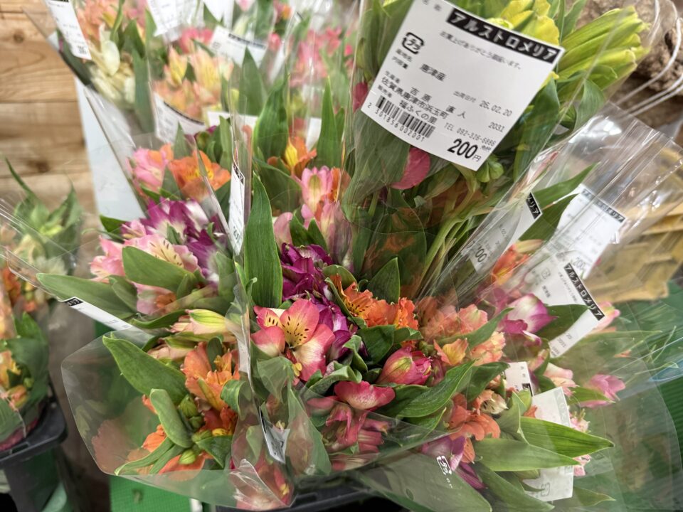 【福岡県糸島市】福ふくの里：二丈福吉の直売所・産直所