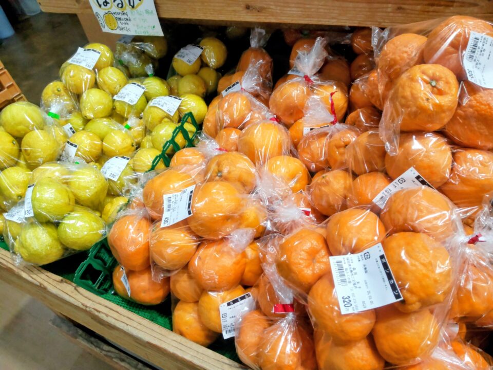 【福岡県糸島市】福ふくの里：二丈福吉の直売所・産直所
