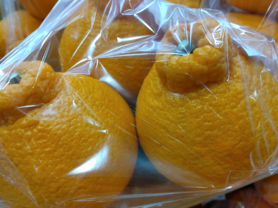 【福岡県糸島市】福ふくの里：二丈福吉の直売所・産直所