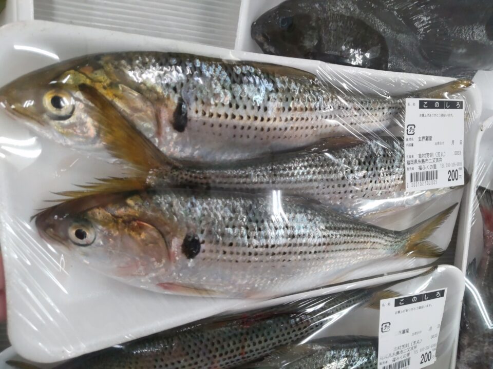 【福岡県糸島市】福ふくの里：二丈福吉の直売所・産直所