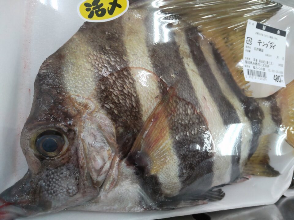 【福岡県糸島市】福ふくの里：二丈福吉の直売所・産直所