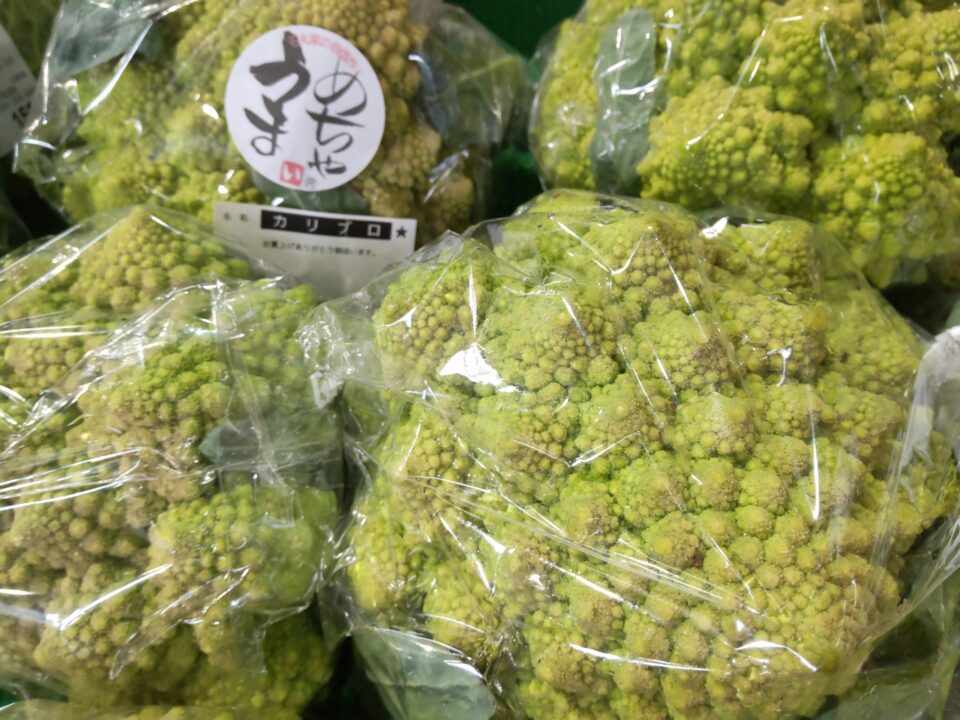 【福岡県糸島市】福ふくの里：二丈福吉の直売所・産直所