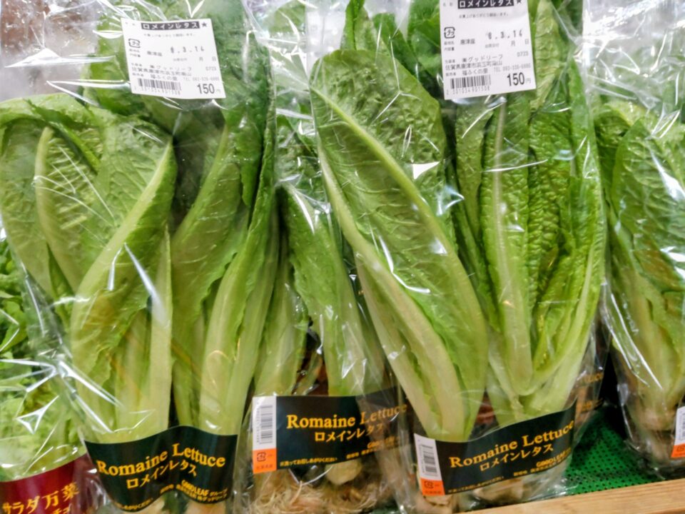 【福岡県糸島市】福ふくの里：二丈福吉の直売所・産直所