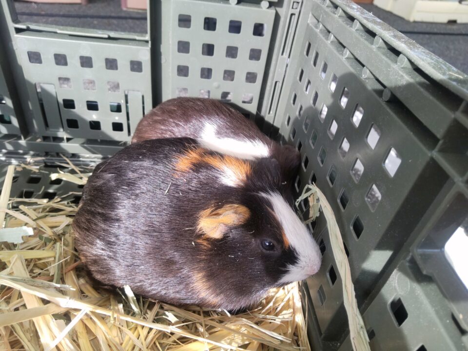 【福岡県糸島市】福ふくの里：二丈福吉の直売所・産直所