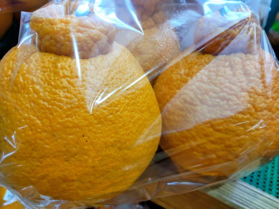 【福岡県糸島市】福ふくの里：二丈福吉の直売所・産直所