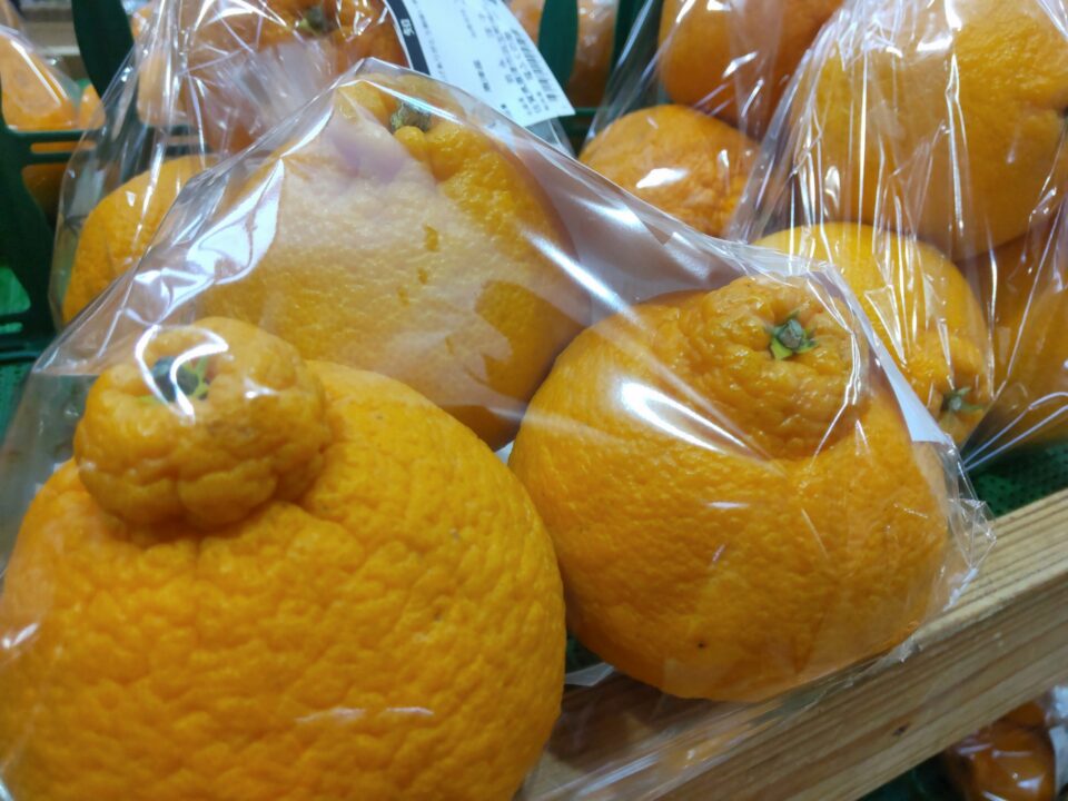 【福岡県糸島市】福ふくの里：二丈福吉の直売所・産直所