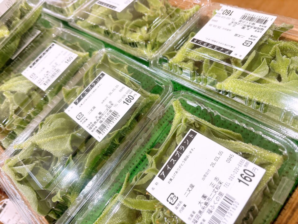 【福岡県糸島市】福ふくの里：二丈福吉の直売所・産直所