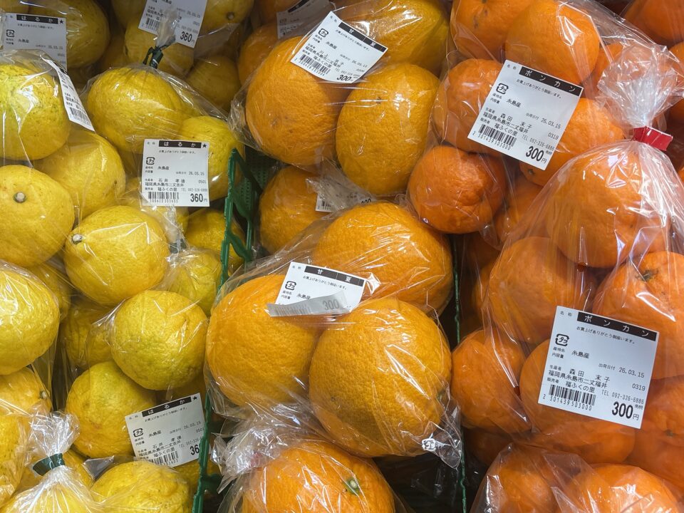 【福岡県糸島市】福ふくの里：二丈福吉の直売所・産直所