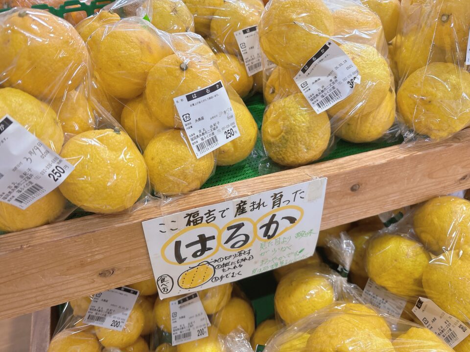 【福岡県糸島市】福ふくの里：二丈福吉の直売所・産直所