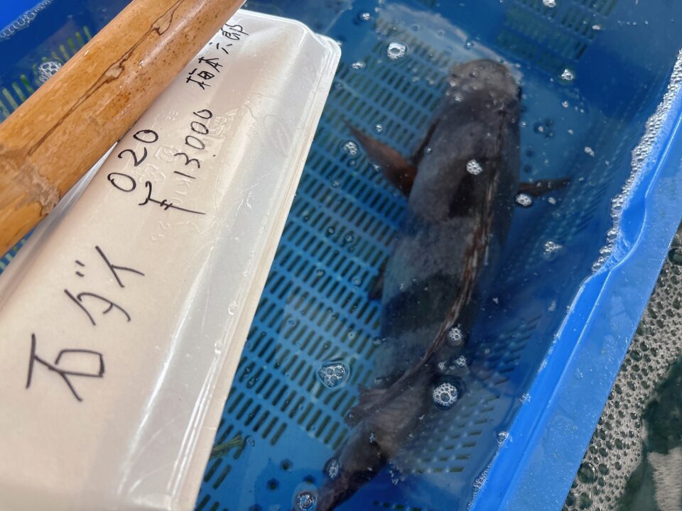 【福岡県糸島市】福ふくの里：二丈福吉の直売所・産直所