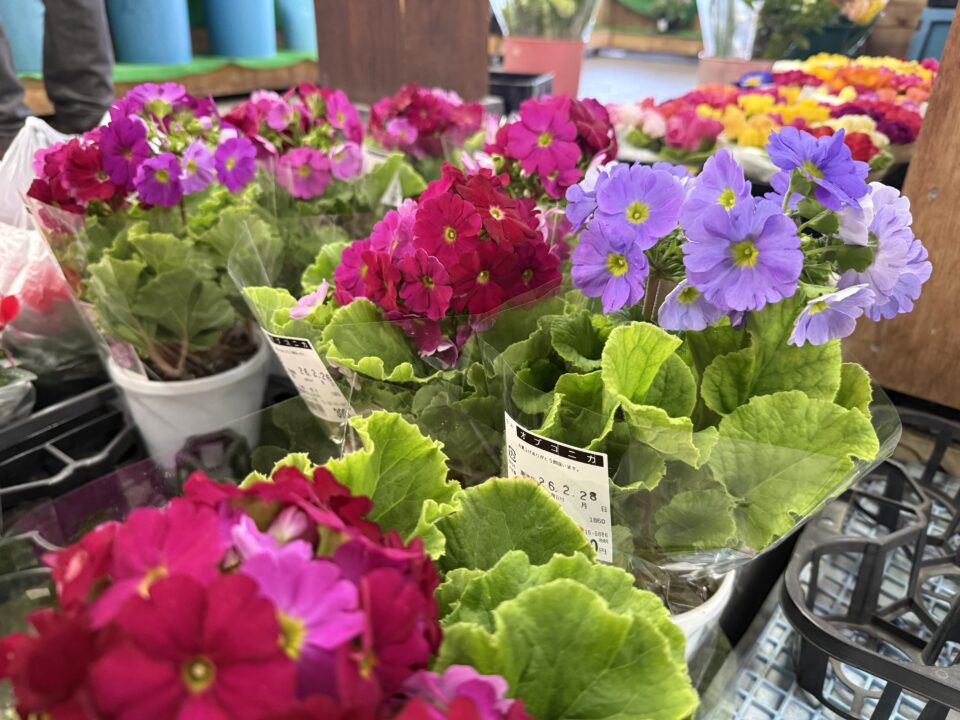 【福岡県糸島市】福ふくの里：二丈福吉の直売所・産直所