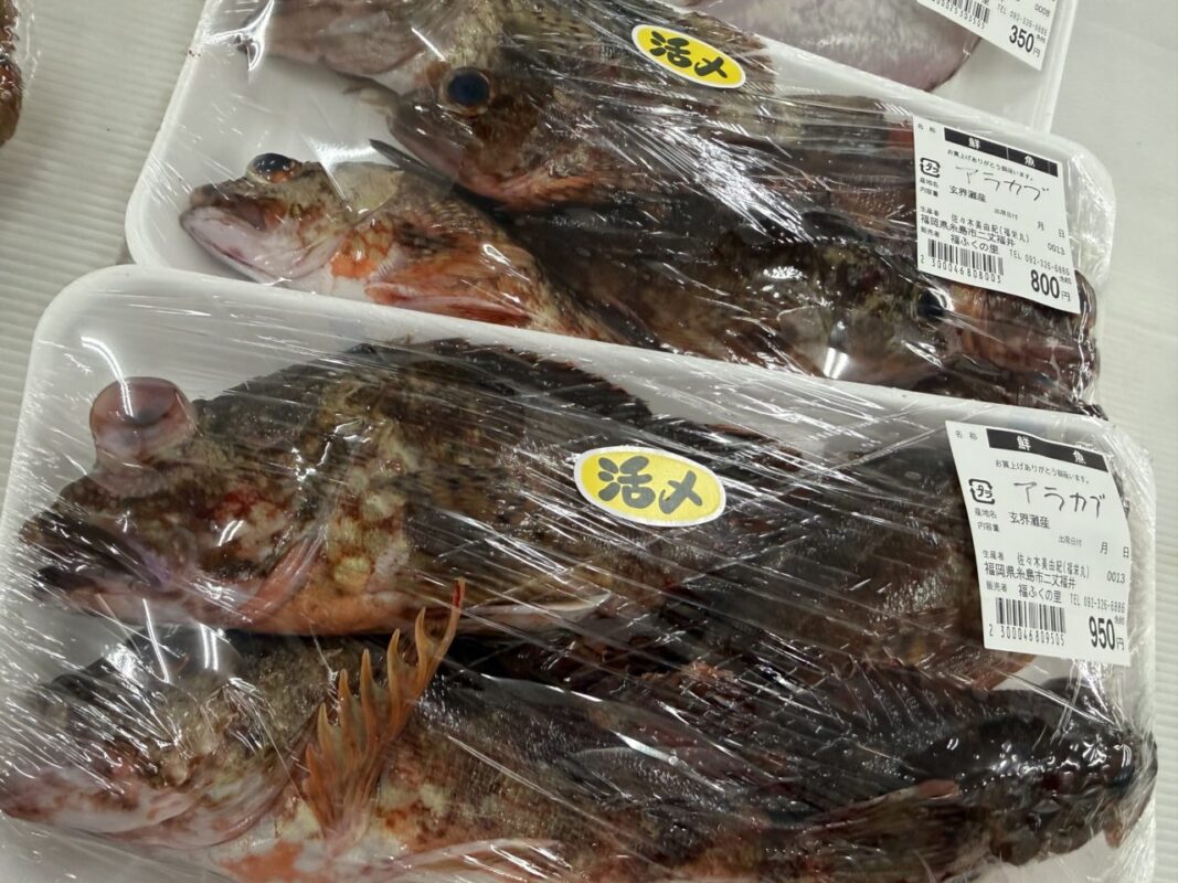 【福岡県糸島市】福ふくの里：二丈福吉の直売所・産直所