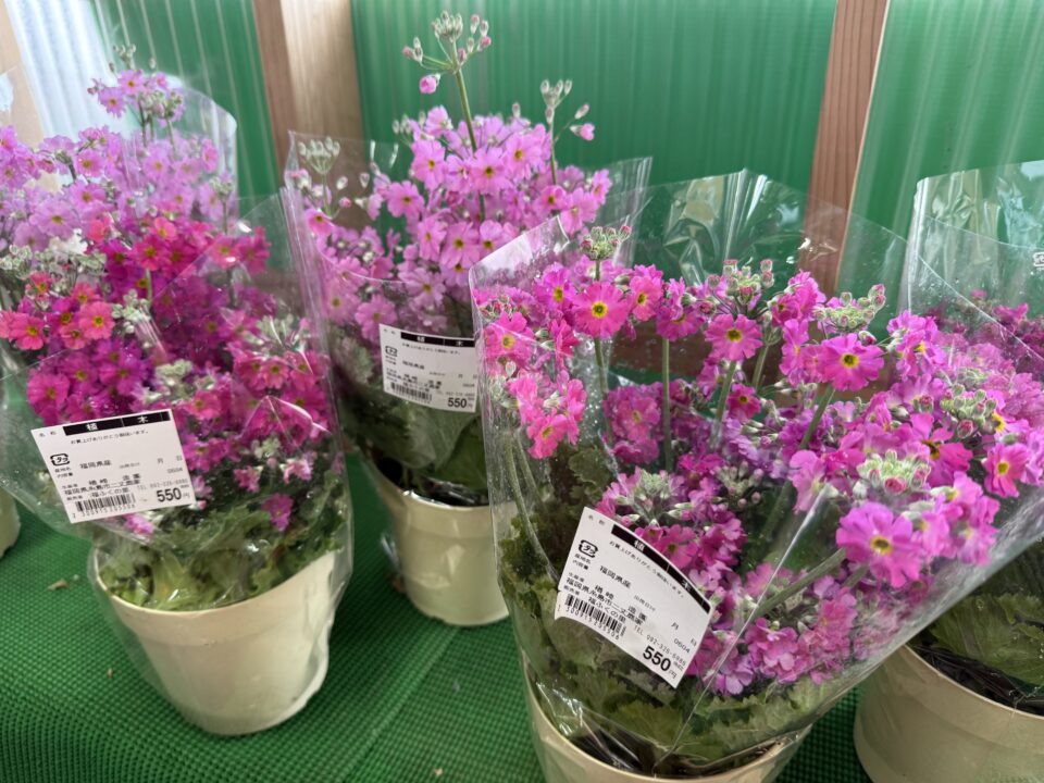 【福岡県糸島市】福ふくの里：二丈福吉の直売所・産直所