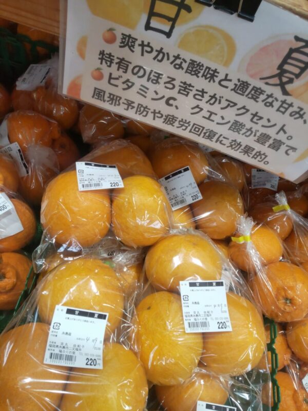 【福岡県糸島市】福ふくの里：二丈福吉の直売所・産直所