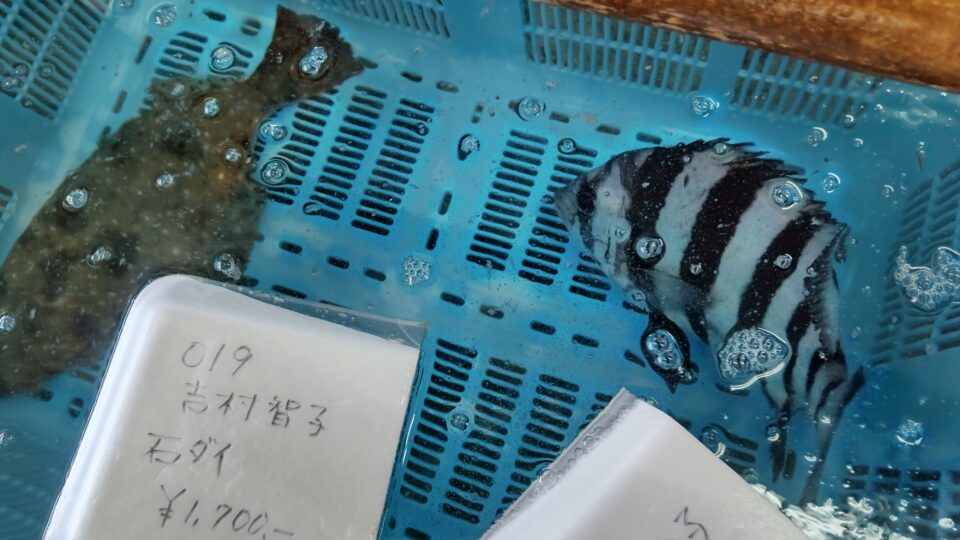 【福岡県糸島市】福ふくの里：二丈福吉の直売所・産直所