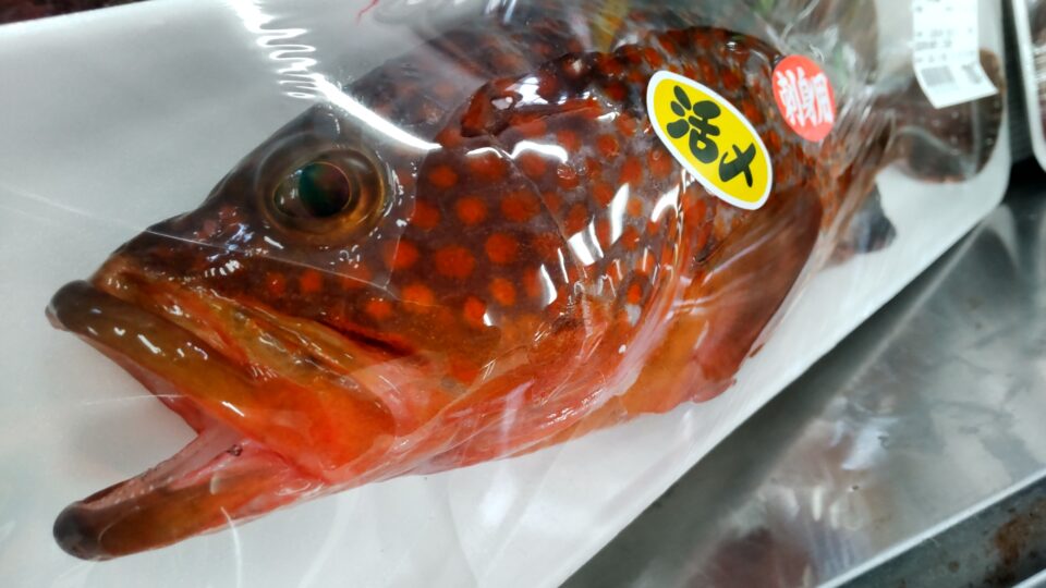 【福岡県糸島市】福ふくの里：二丈福吉の直売所・産直所