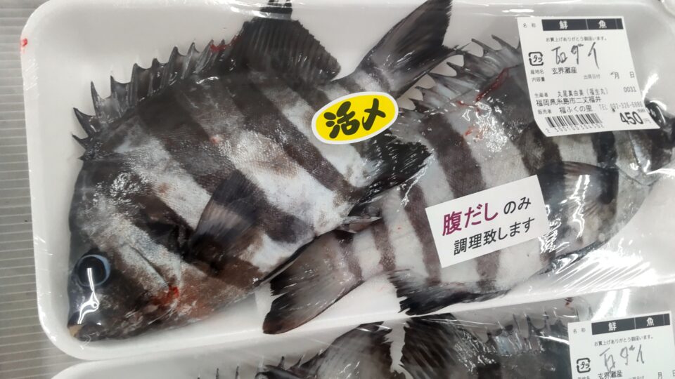 【福岡県糸島市】福ふくの里：二丈福吉の直売所・産直所