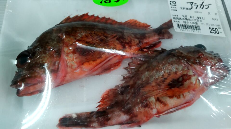 【福岡県糸島市】福ふくの里：二丈福吉の直売所・産直所