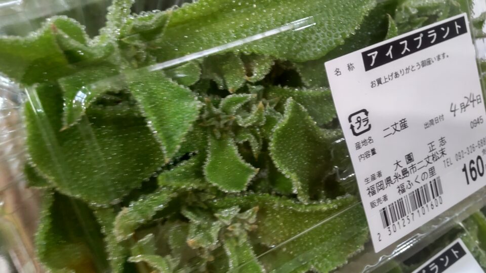 【福岡県糸島市】福ふくの里：二丈福吉の直売所・産直所