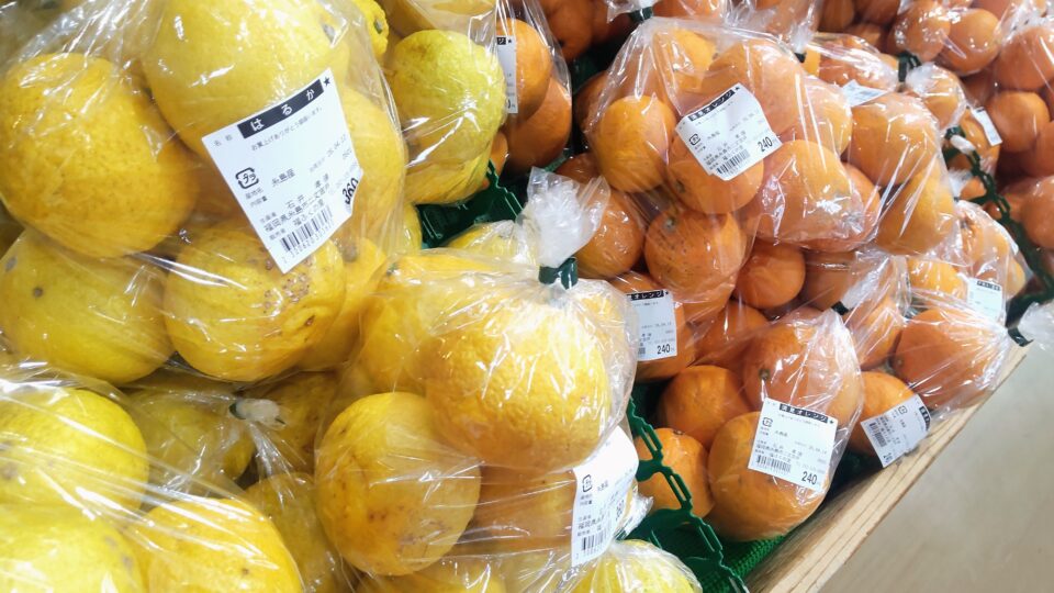 【福岡県糸島市】福ふくの里：二丈福吉の直売所・産直所