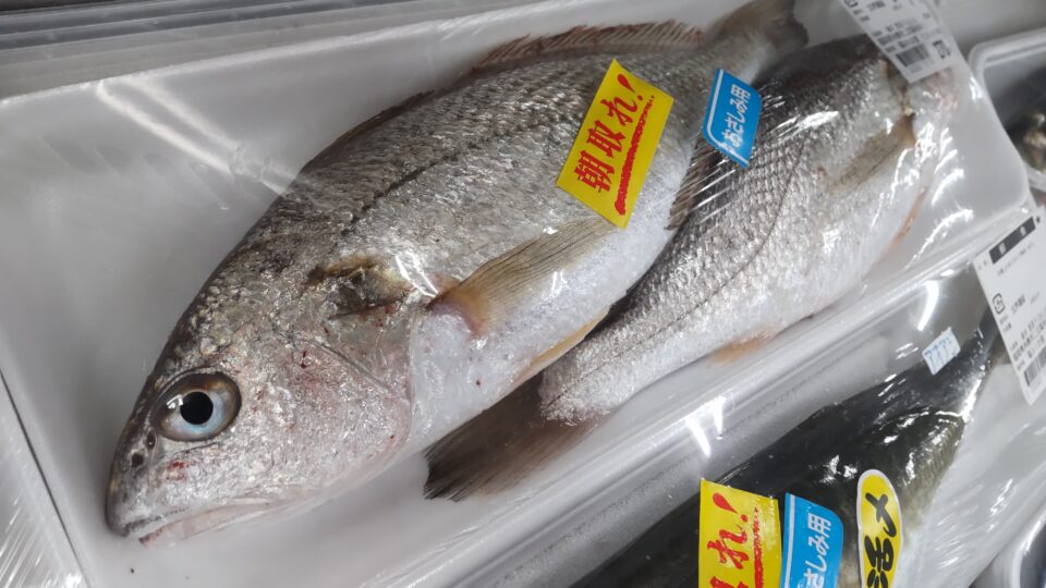 【福岡県糸島市】福ふくの里：二丈福吉の直売所・産直所