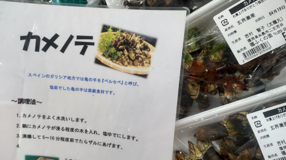 【福岡県糸島市】福ふくの里：二丈福吉の直売所・産直所