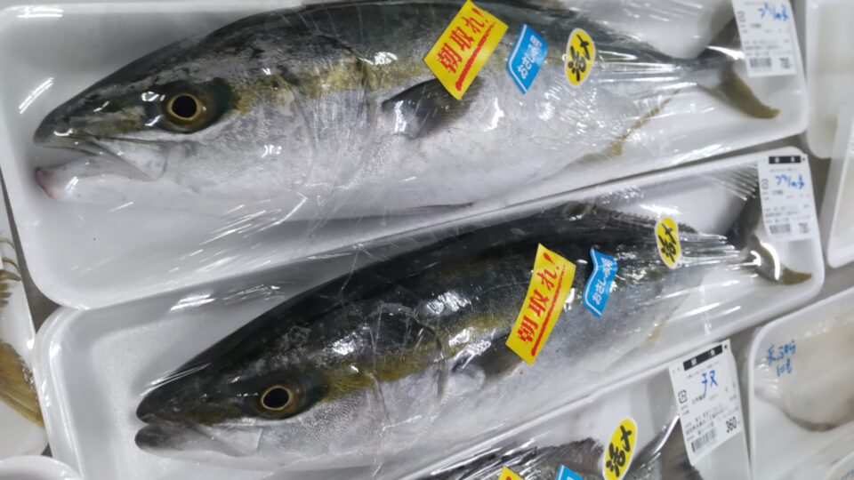 【福岡県糸島市】福ふくの里：二丈福吉の直売所・産直所