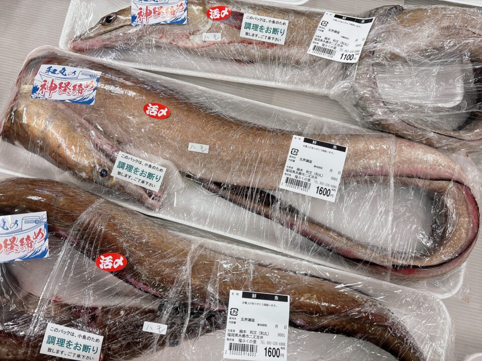 【福岡県糸島市】福ふくの里：二丈福吉の直売所・産直所