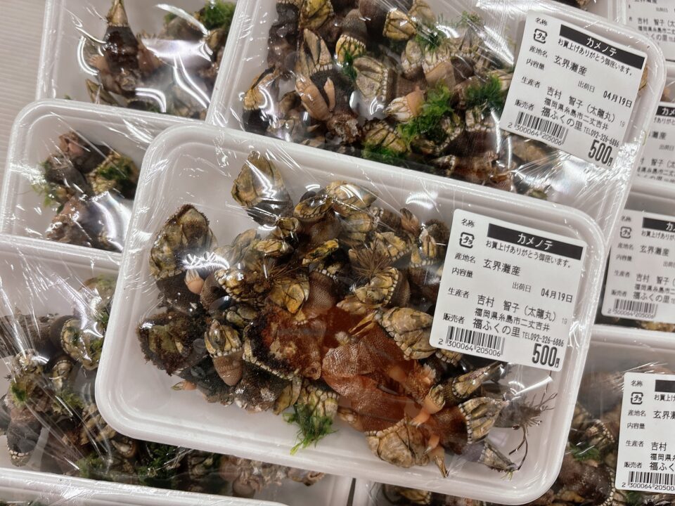 【福岡県糸島市】福ふくの里：二丈福吉の直売所・産直所