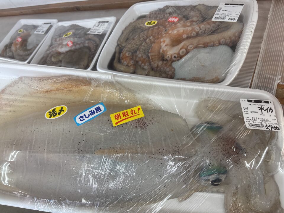 【福岡県糸島市】福ふくの里：二丈福吉の直売所・産直所