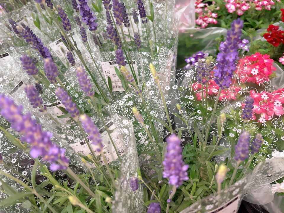 【福岡県糸島市】福ふくの里：二丈福吉の直売所・産直所