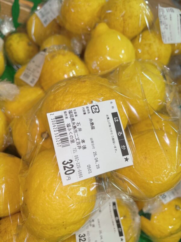 【福岡県糸島市】福ふくの里：二丈福吉の直売所・産直所