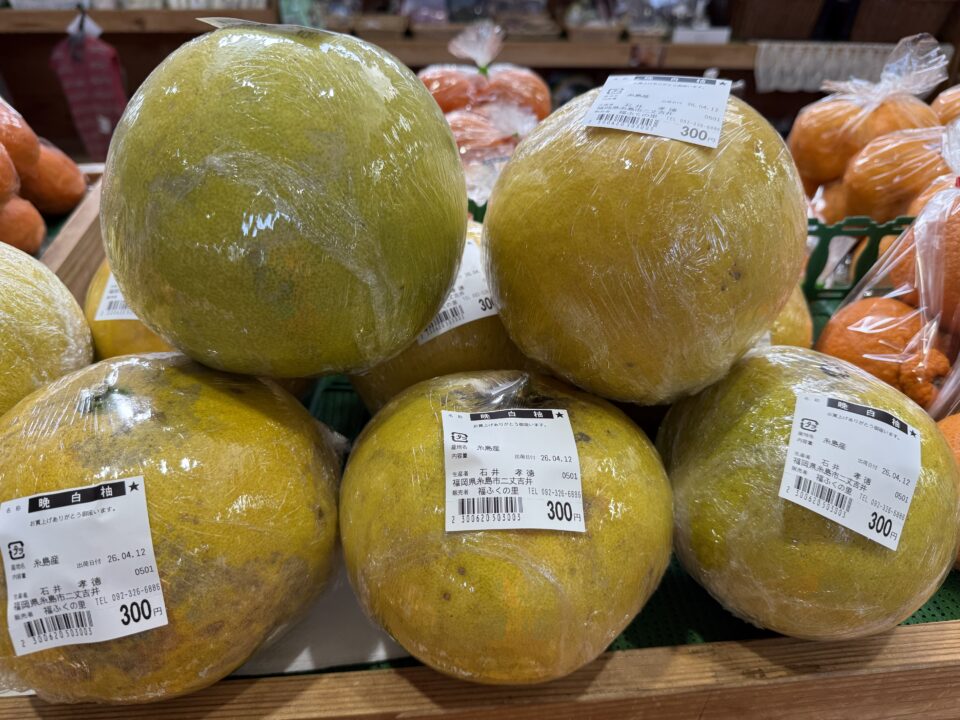 【福岡県糸島市】福ふくの里：二丈福吉の直売所・産直所
