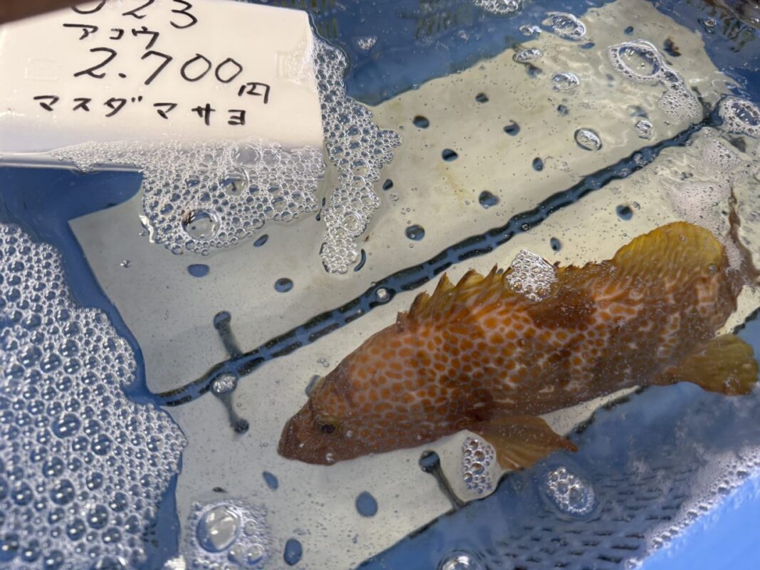 【福岡県糸島市】福ふくの里：二丈福吉の直売所・産直所
