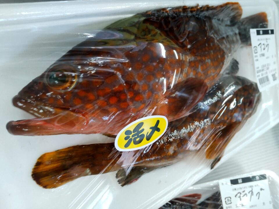 【福岡県糸島市】福ふくの里：二丈福吉の直売所・産直所