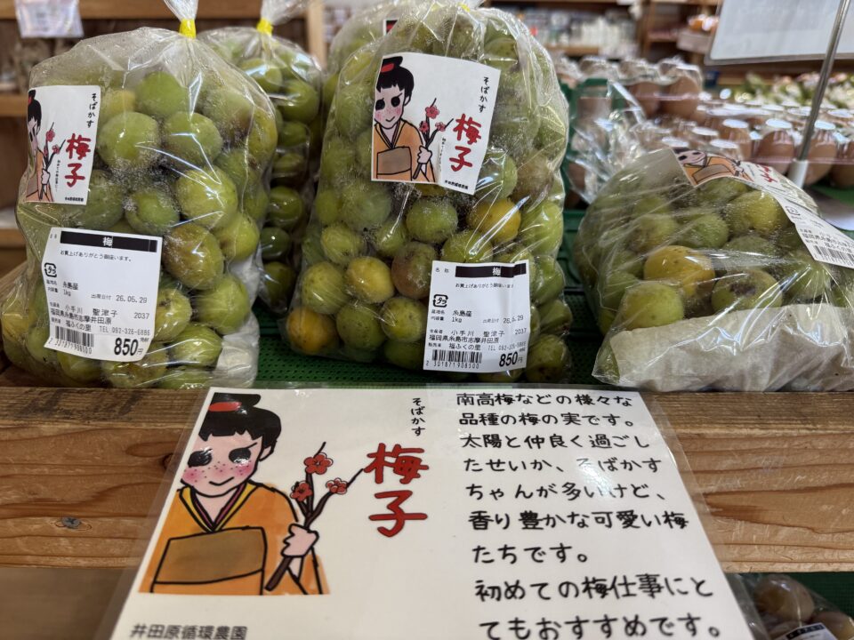 【福岡県糸島市】福ふくの里：二丈福吉の直売所・産直所
